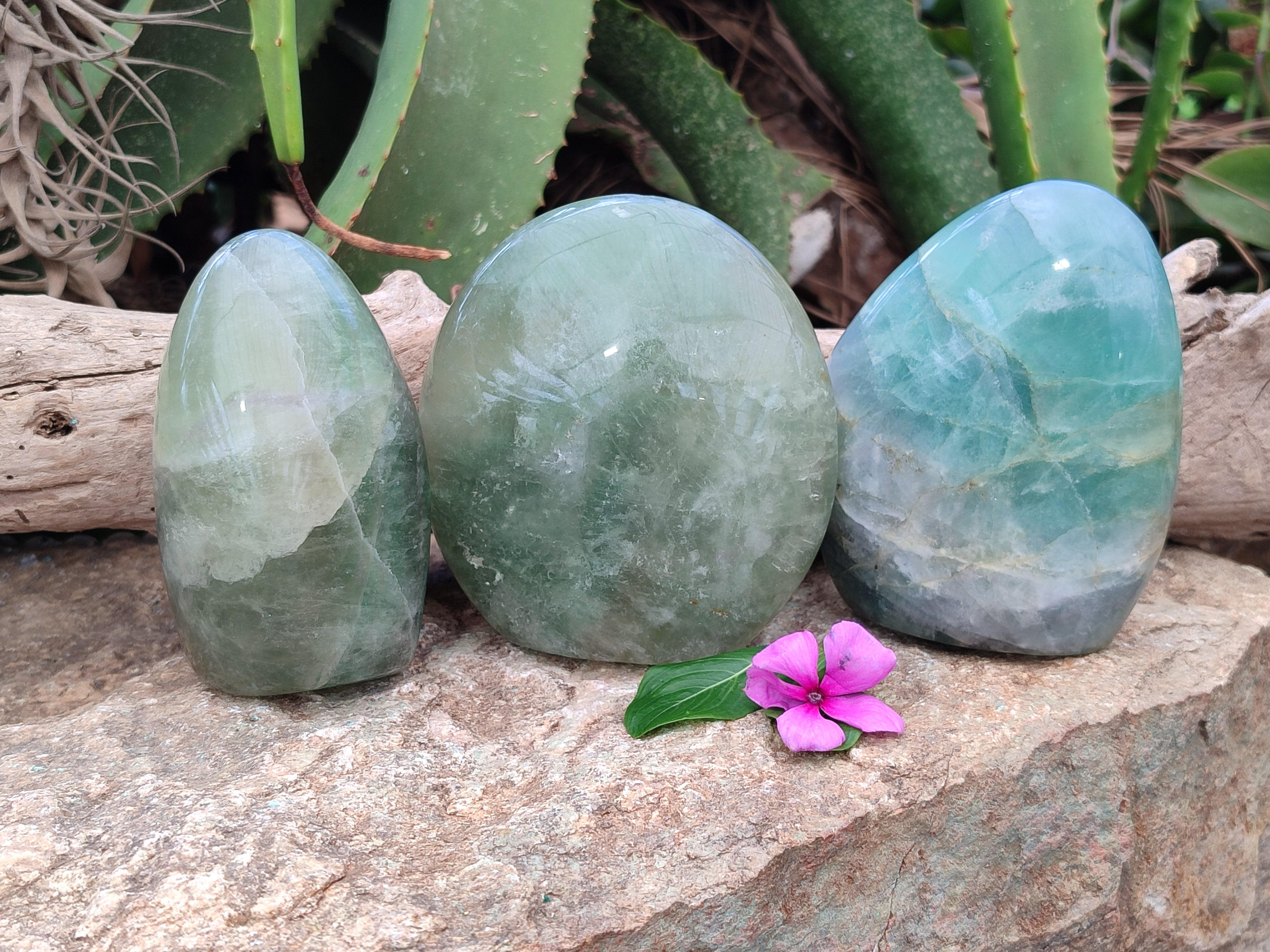 Polished Green Fluorite Standing Free Forms x 3 From Madagascar - Toprock Gemstones and Minerals 