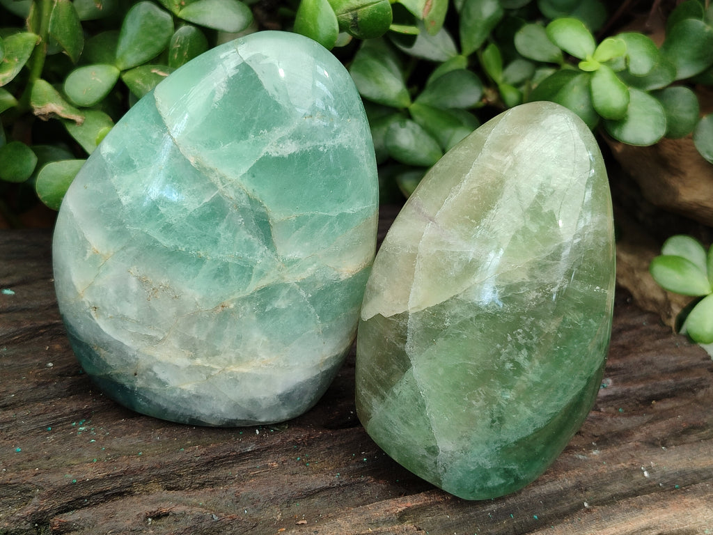 Polished Green Fluorite Standing Free Forms x 3 From Madagascar - Toprock Gemstones and Minerals 