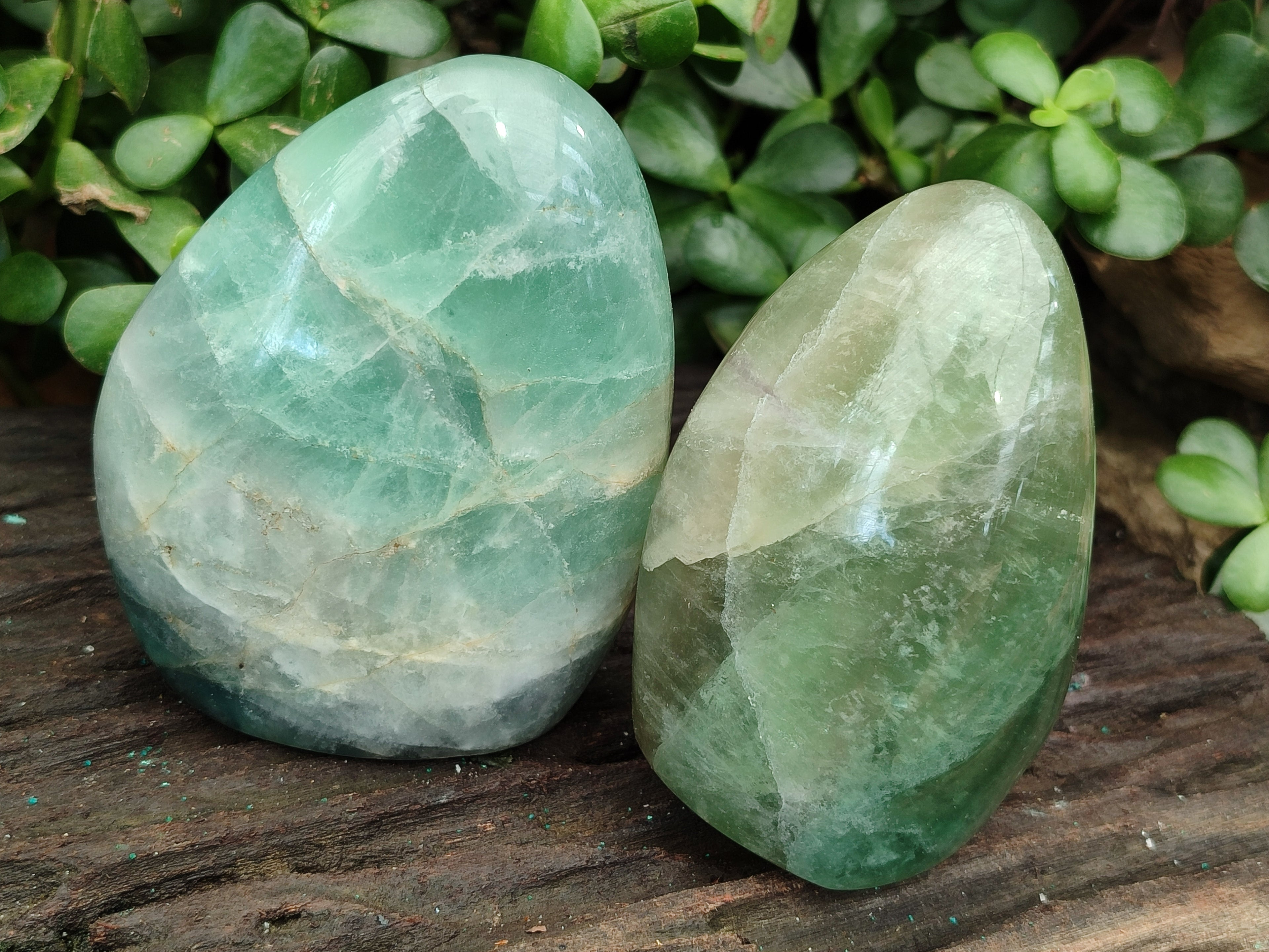 Polished Green Fluorite Standing Free Forms x 3 From Madagascar - Toprock Gemstones and Minerals 