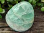 Polished Green Fluorite Standing Free Forms x 3 From Madagascar - Toprock Gemstones and Minerals 