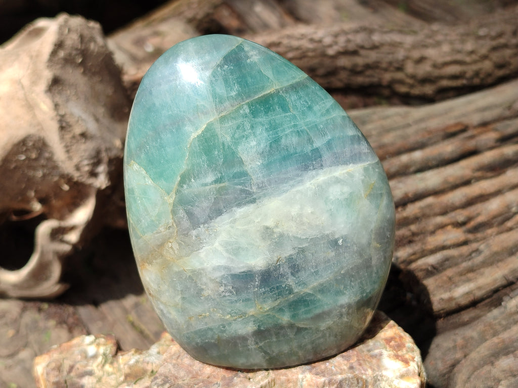 Polished Green Fluorite Standing Free Forms x 3 From Madagascar - Toprock Gemstones and Minerals 