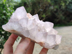 Natural Amethyst Spirit Quartz Clusters x 3 From Boekenhouthoek, South Africa - Toprock Gemstones and Minerals 