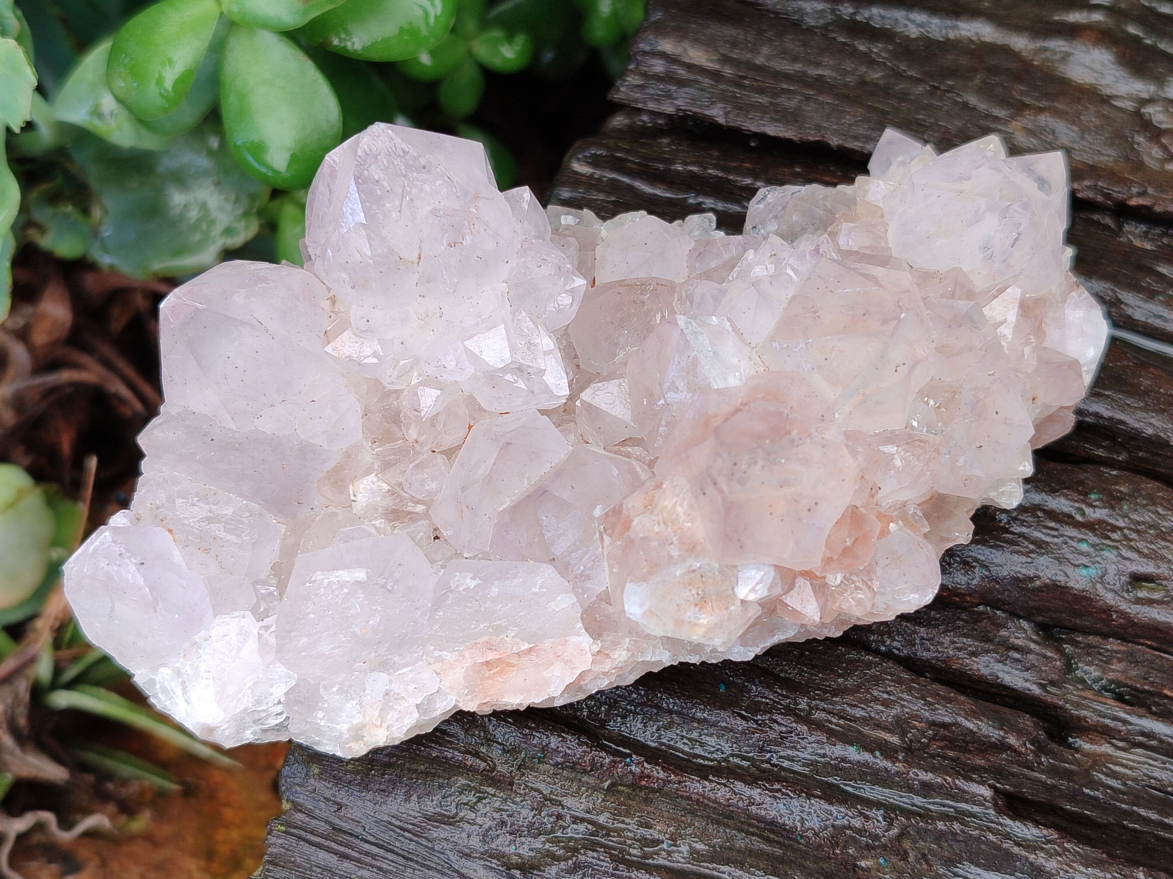 Natural Amethyst Spirit Quartz Clusters x 3 From Boekenhouthoek, South Africa - Toprock Gemstones and Minerals 