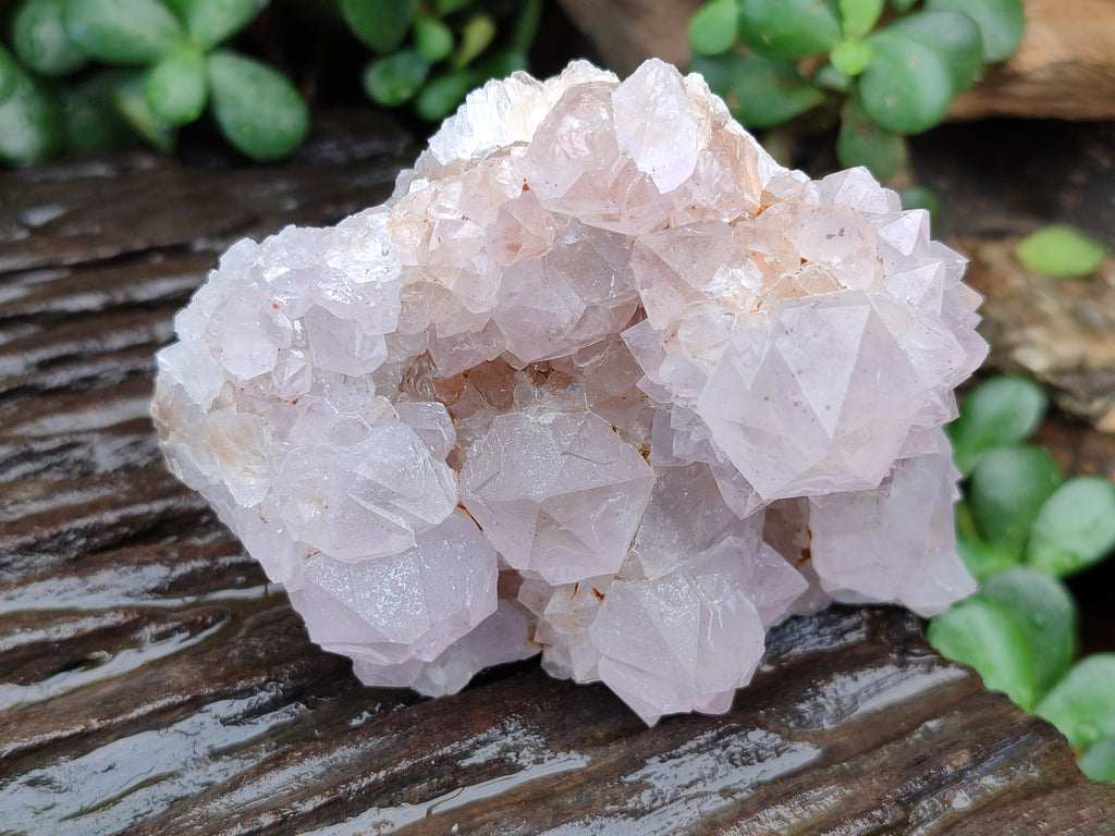 Natural Amethyst Spirit Quartz Clusters x 3 From Boekenhouthoek, South Africa - Toprock Gemstones and Minerals 