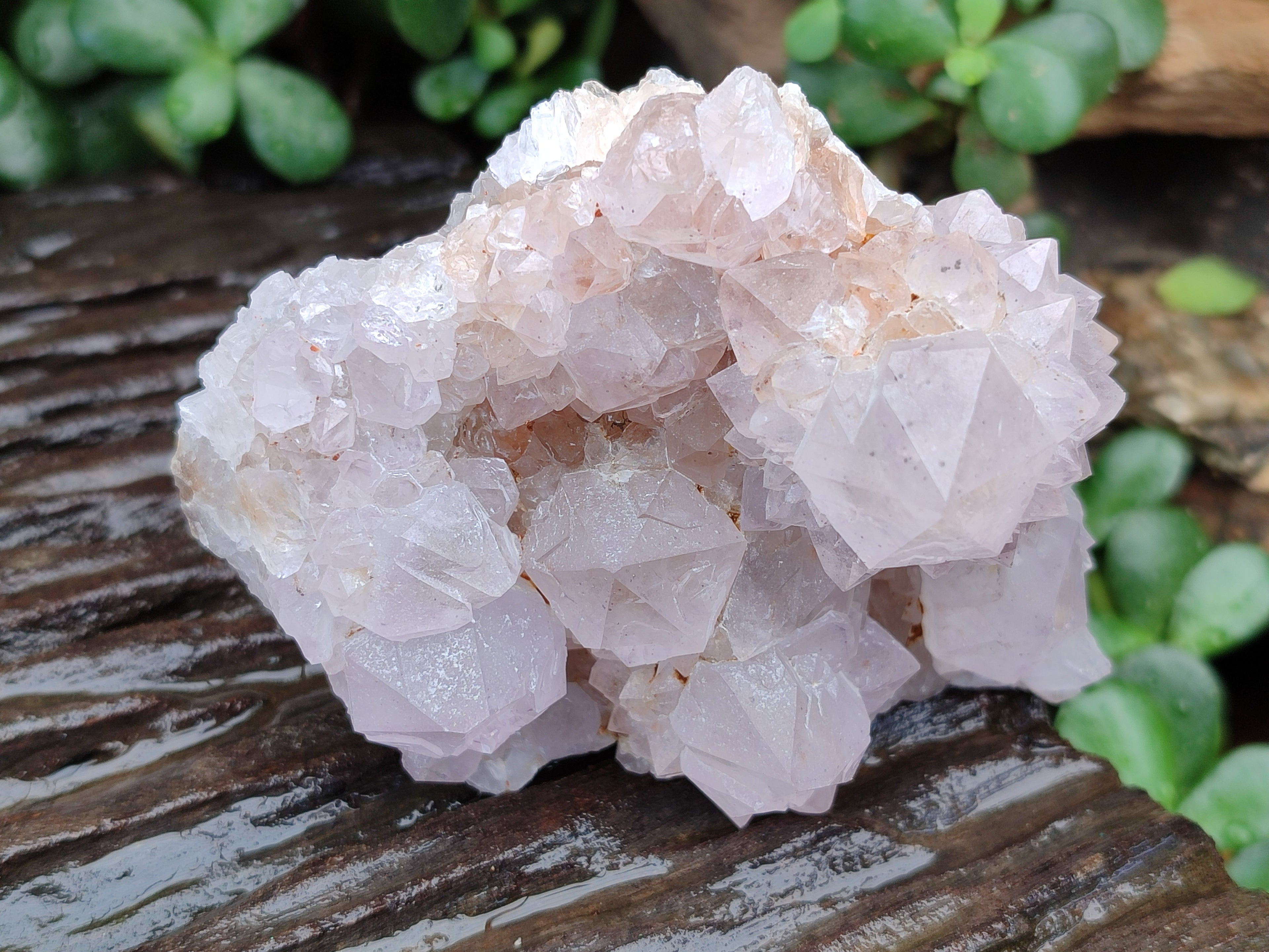 Natural Amethyst Spirit Quartz Clusters x 3 From Boekenhouthoek, South Africa - Toprock Gemstones and Minerals 