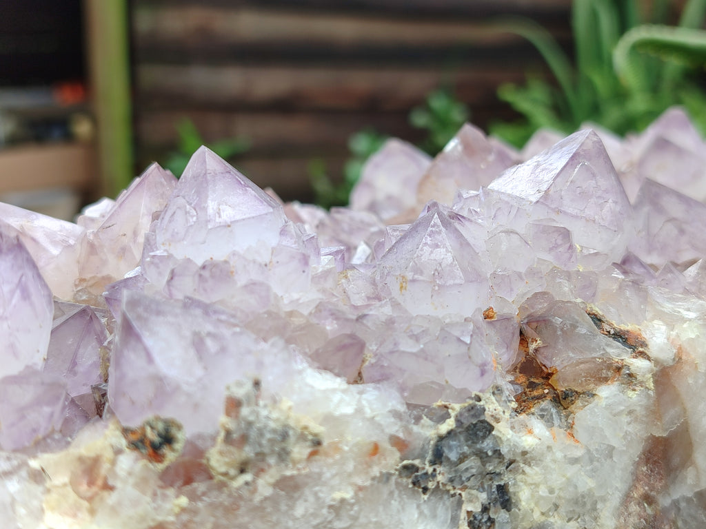 Natural Amethyst Cactus Spirit Quartz Cluster x 1 From Boekenhouthoek, South Africa - Toprock Gemstones and Minerals 