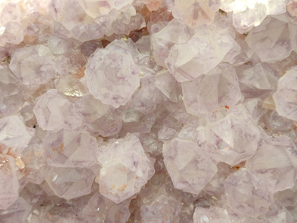 Natural Amethyst Cactus Spirit Quartz Cluster x 1 From Boekenhouthoek, South Africa - Toprock Gemstones and Minerals 