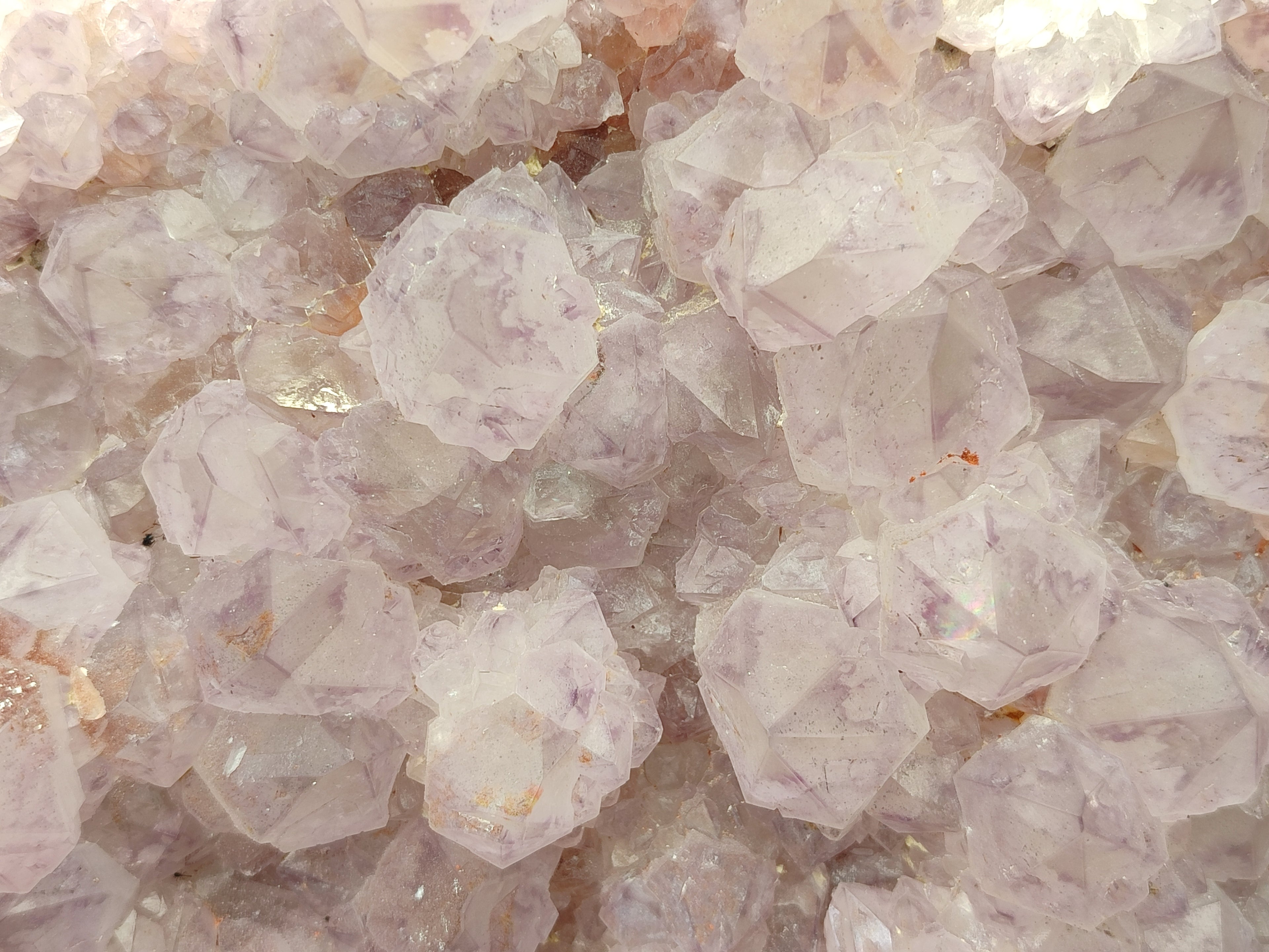 Natural Amethyst Cactus Spirit Quartz Cluster x 1 From Boekenhouthoek, South Africa - Toprock Gemstones and Minerals 