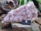 Natural Amethyst Cactus Spirit Quartz Cluster x 1 From Boekenhouthoek, South Africa - Toprock Gemstones and Minerals 