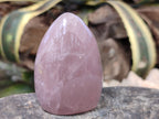 Polished Rose Quartz Standing Free Forms x 6 From Ambatondrazaka, Madagascar - Toprock Gemstones and Minerals 