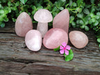 Polished Rose Quartz Standing Free Forms x 6 From Ambatondrazaka, Madagascar - Toprock Gemstones and Minerals 