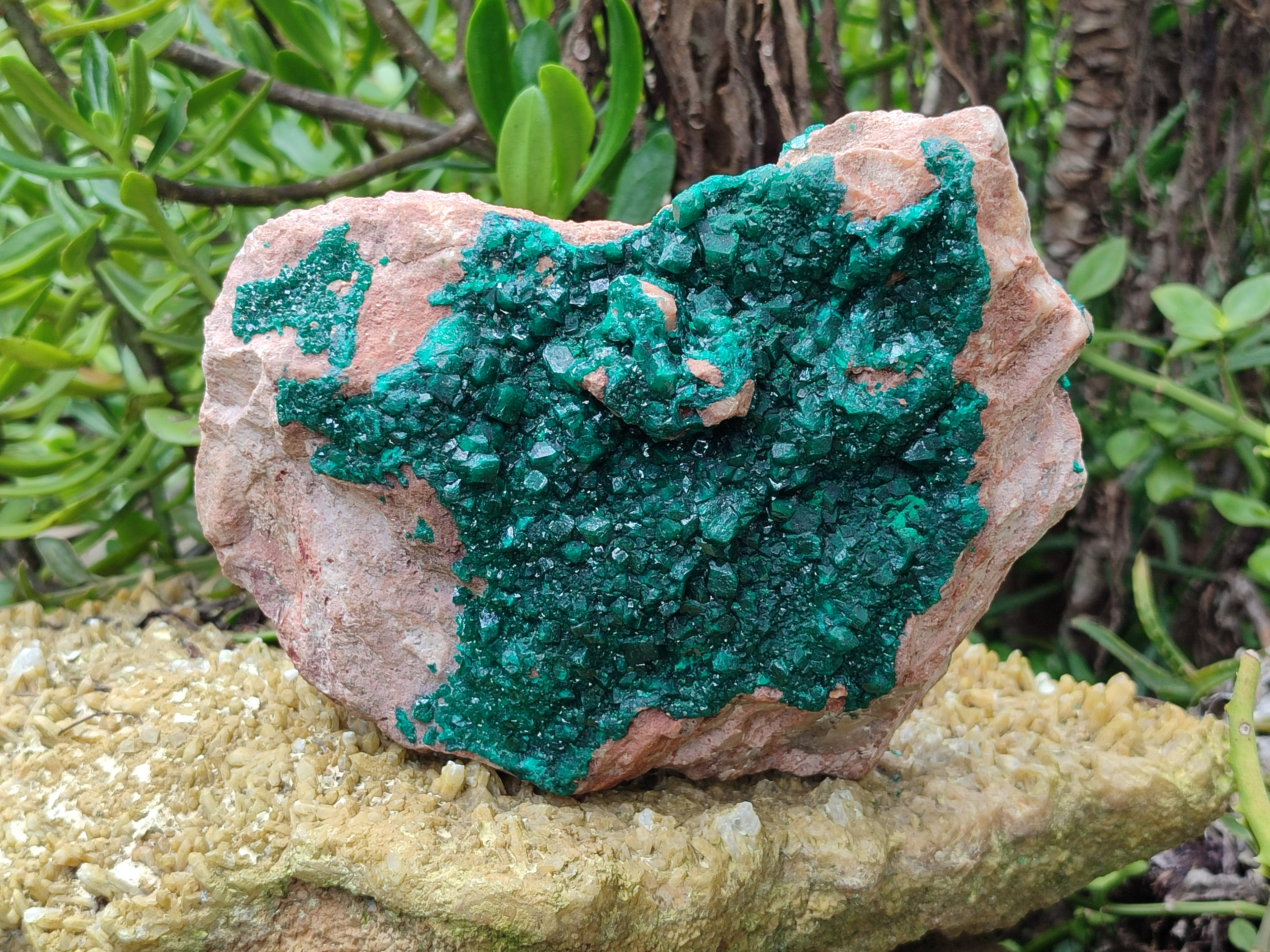 Natural Dioptase On Dolomite Specimens x 1 From Likasi, Congo - Toprock Gemstones and Minerals 