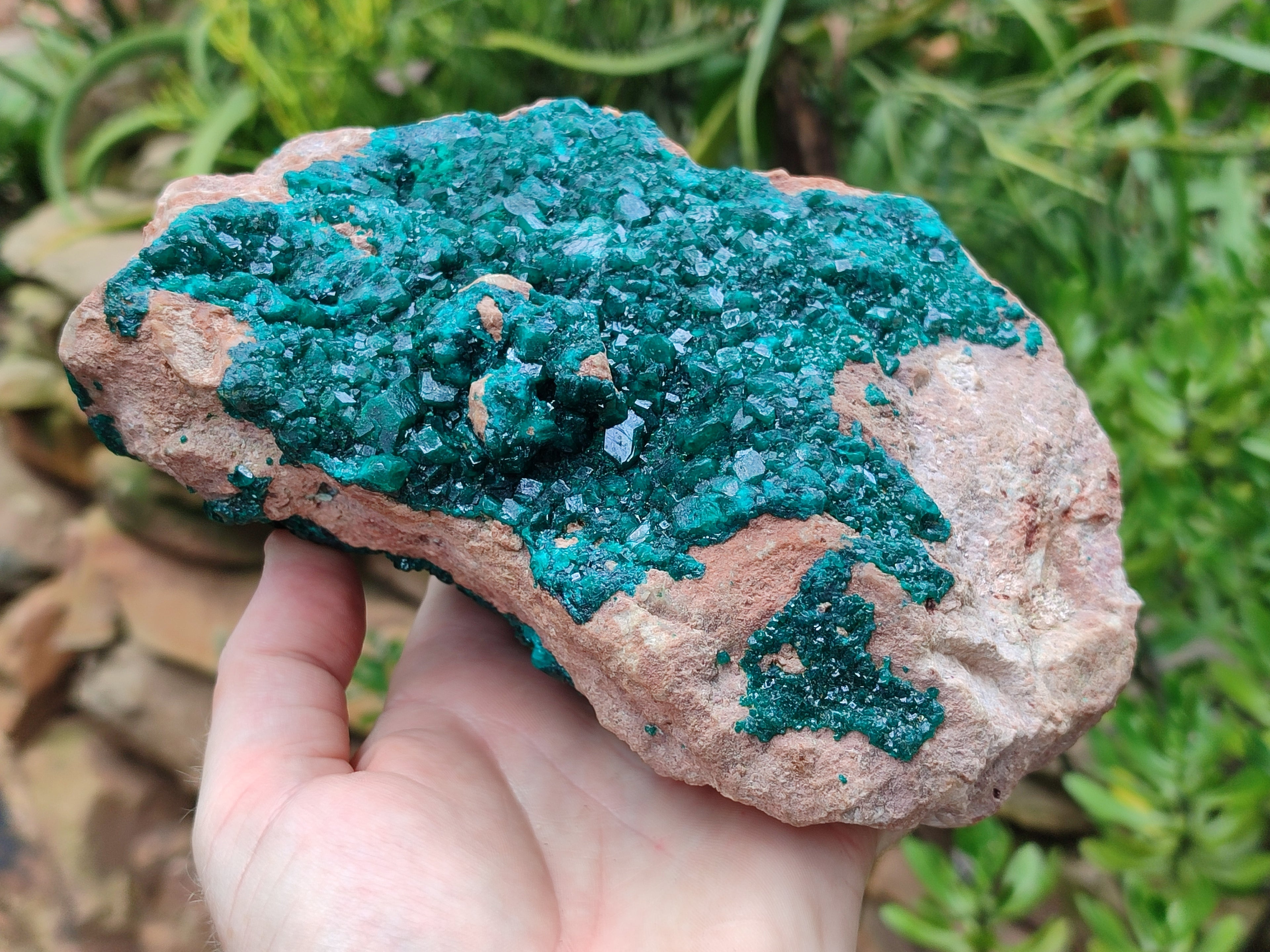 Natural Dioptase On Dolomite Specimens x 1 From Likasi, Congo - Toprock Gemstones and Minerals 
