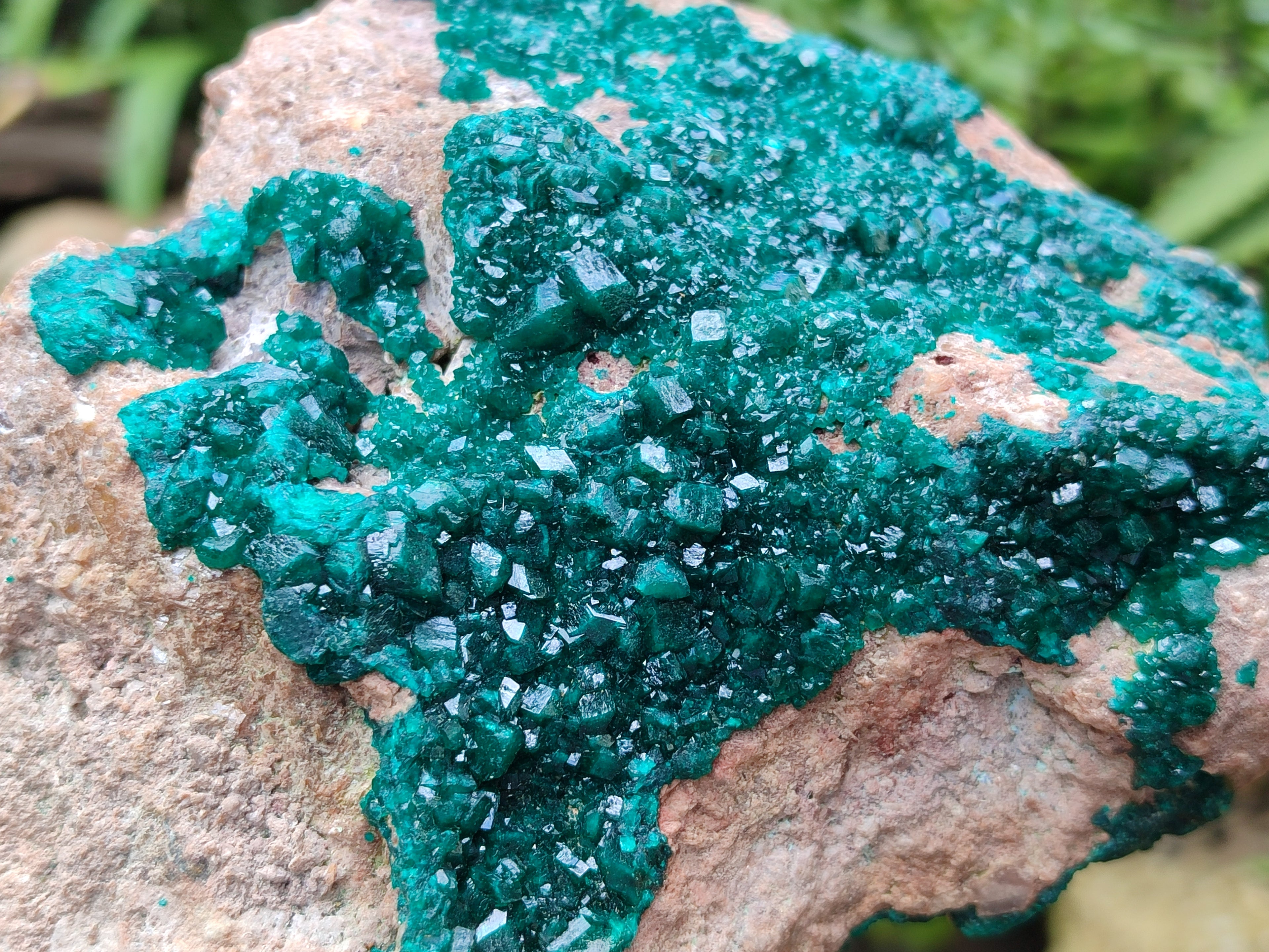 Natural Dioptase On Dolomite Specimens x 1 From Likasi, Congo - Toprock Gemstones and Minerals 