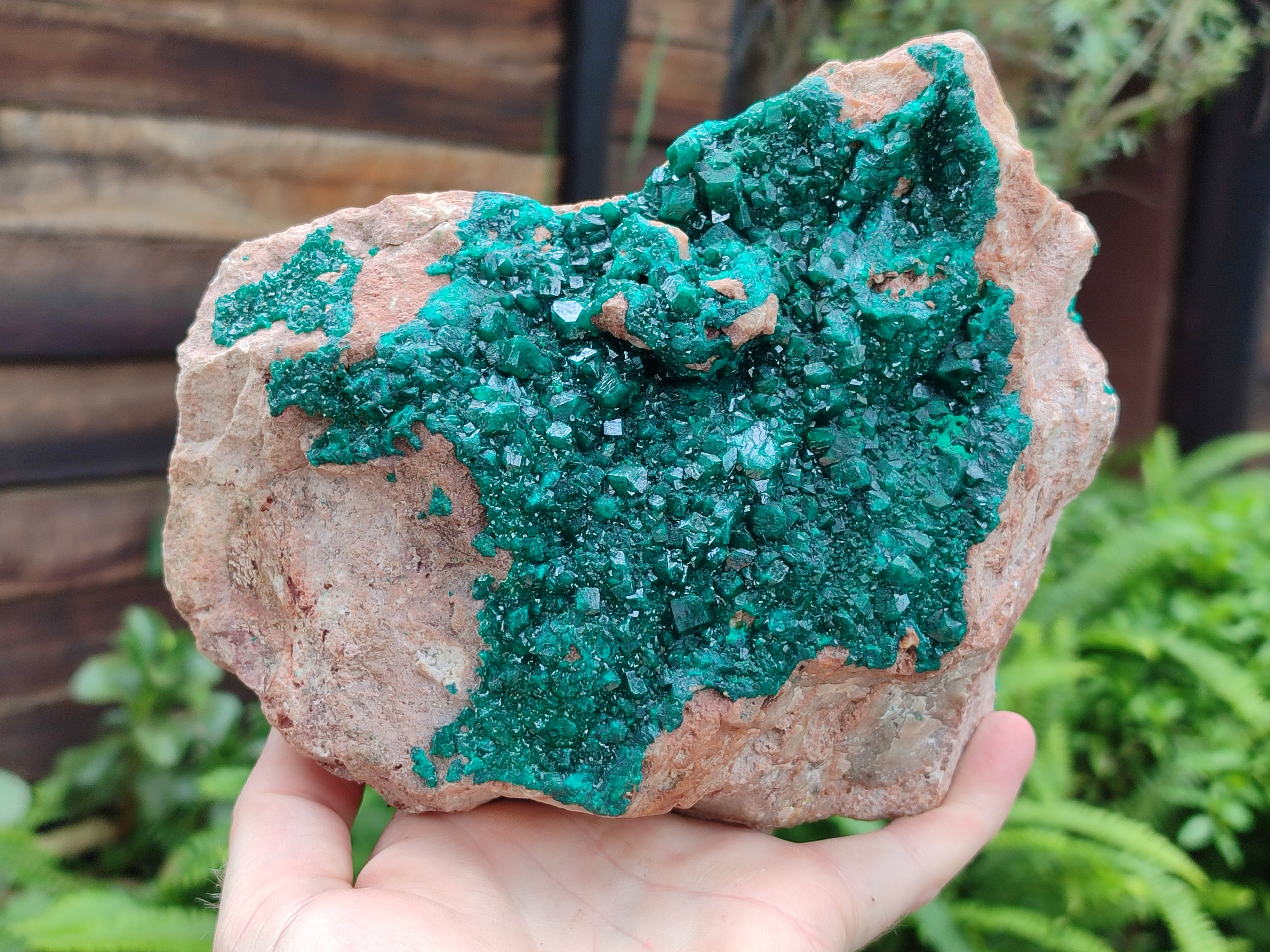 Natural Dioptase On Dolomite Specimens x 1 From Likasi, Congo - Toprock Gemstones and Minerals 