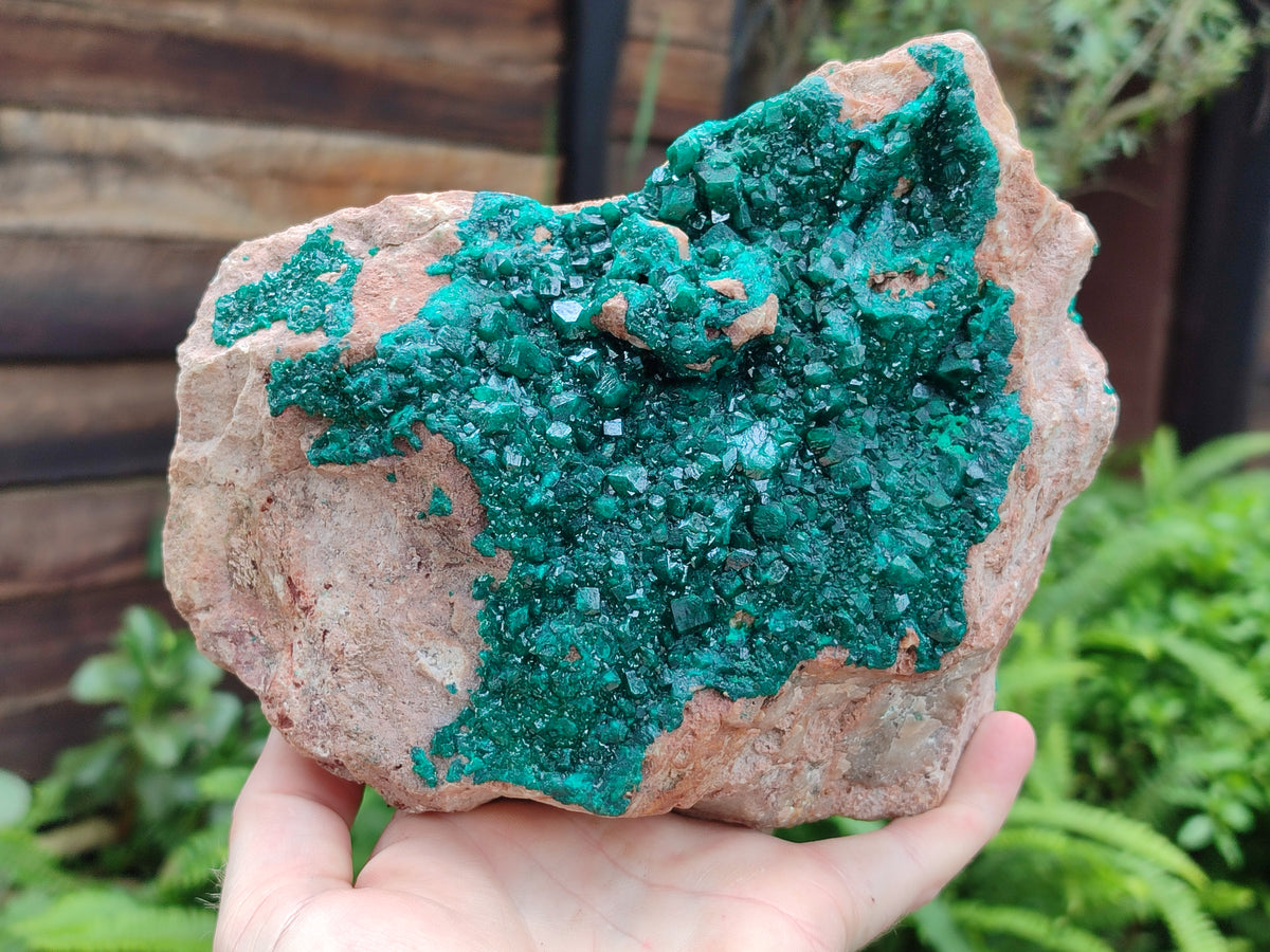 Natural Dioptase On Dolomite Specimens x 1 From Likasi, Congo - Toprock Gemstones and Minerals 