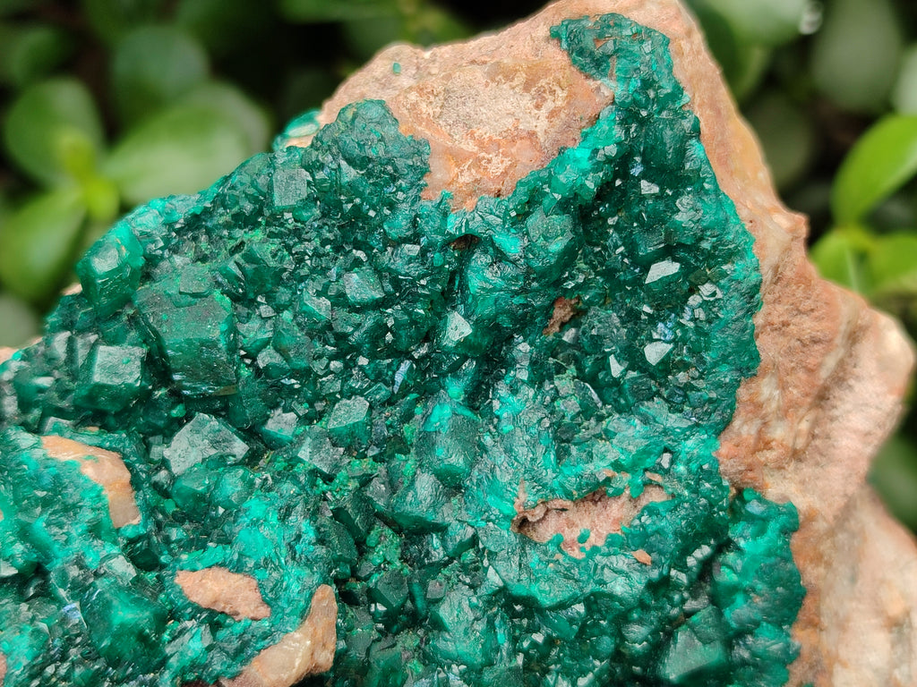 Natural Dioptase On Dolomite Specimens x 1 From Likasi, Congo - Toprock Gemstones and Minerals 