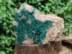 Natural Dioptase On Dolomite Specimens x 1 From Likasi, Congo - Toprock Gemstones and Minerals 