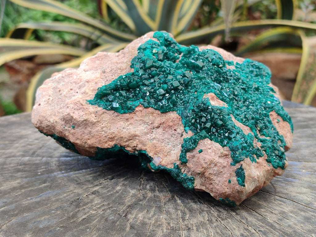 Natural Dioptase On Dolomite Specimens x 1 From Likasi, Congo - Toprock Gemstones and Minerals 