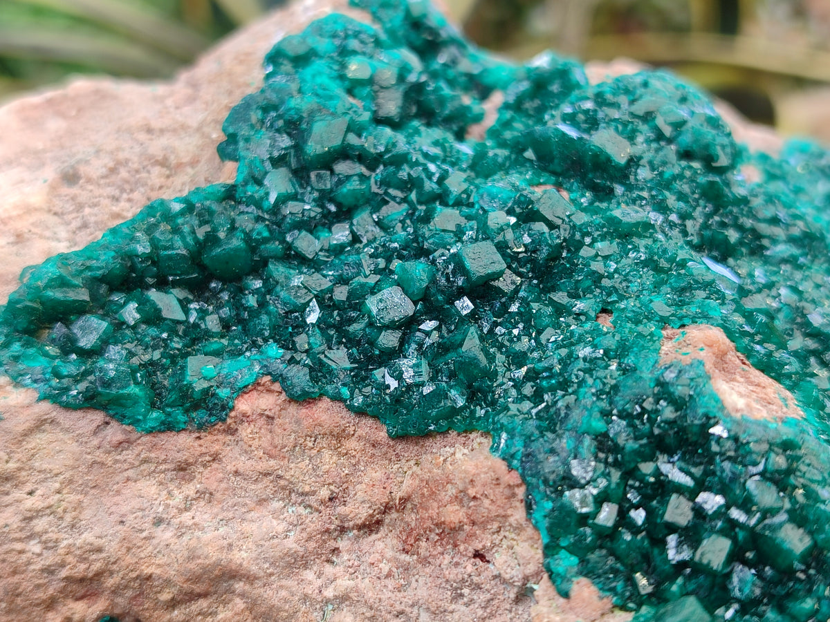 Natural Dioptase On Dolomite Specimens x 1 From Likasi, Congo - Toprock Gemstones and Minerals 