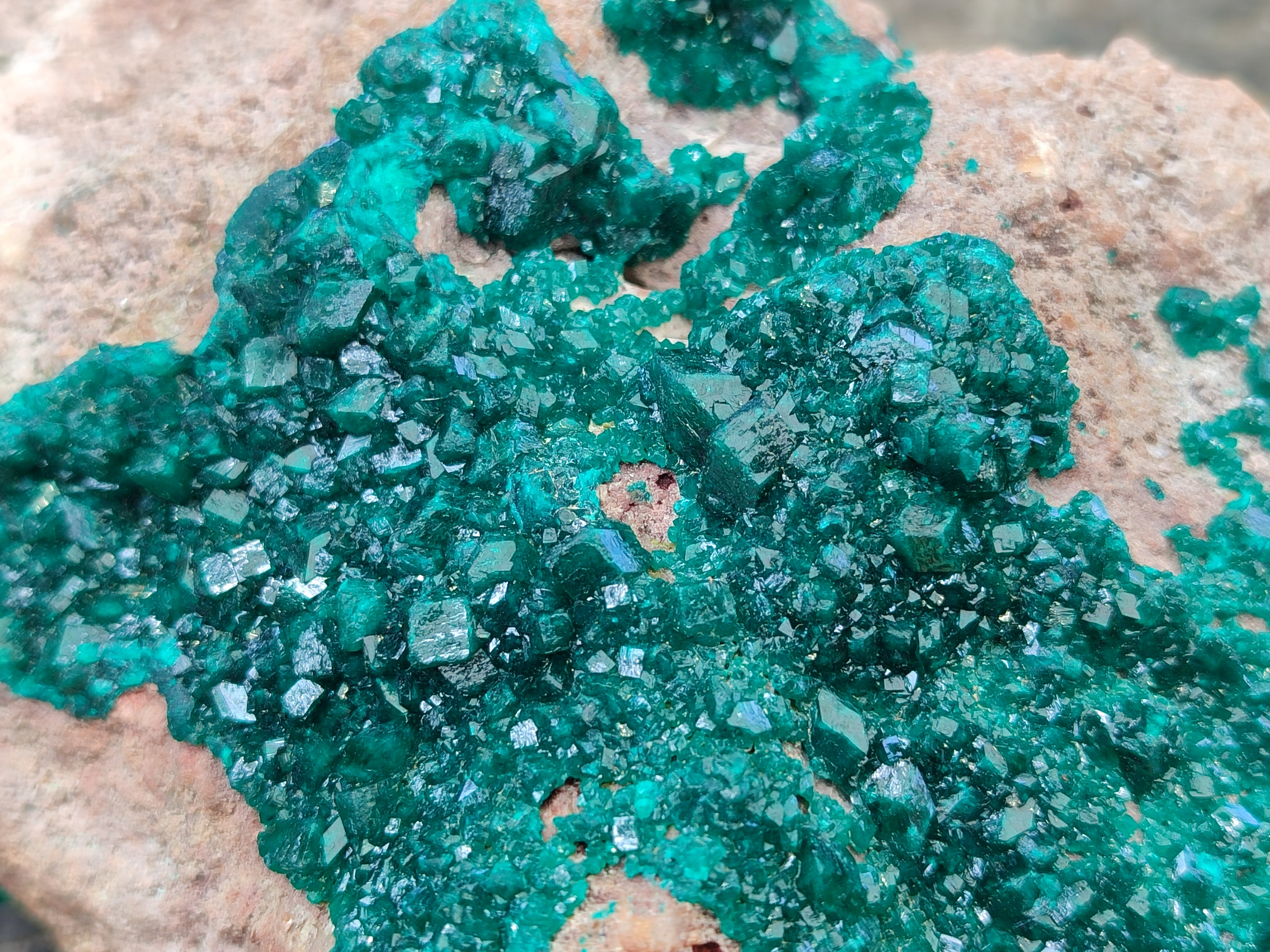 Natural Dioptase On Dolomite Specimens x 1 From Likasi, Congo - Toprock Gemstones and Minerals 