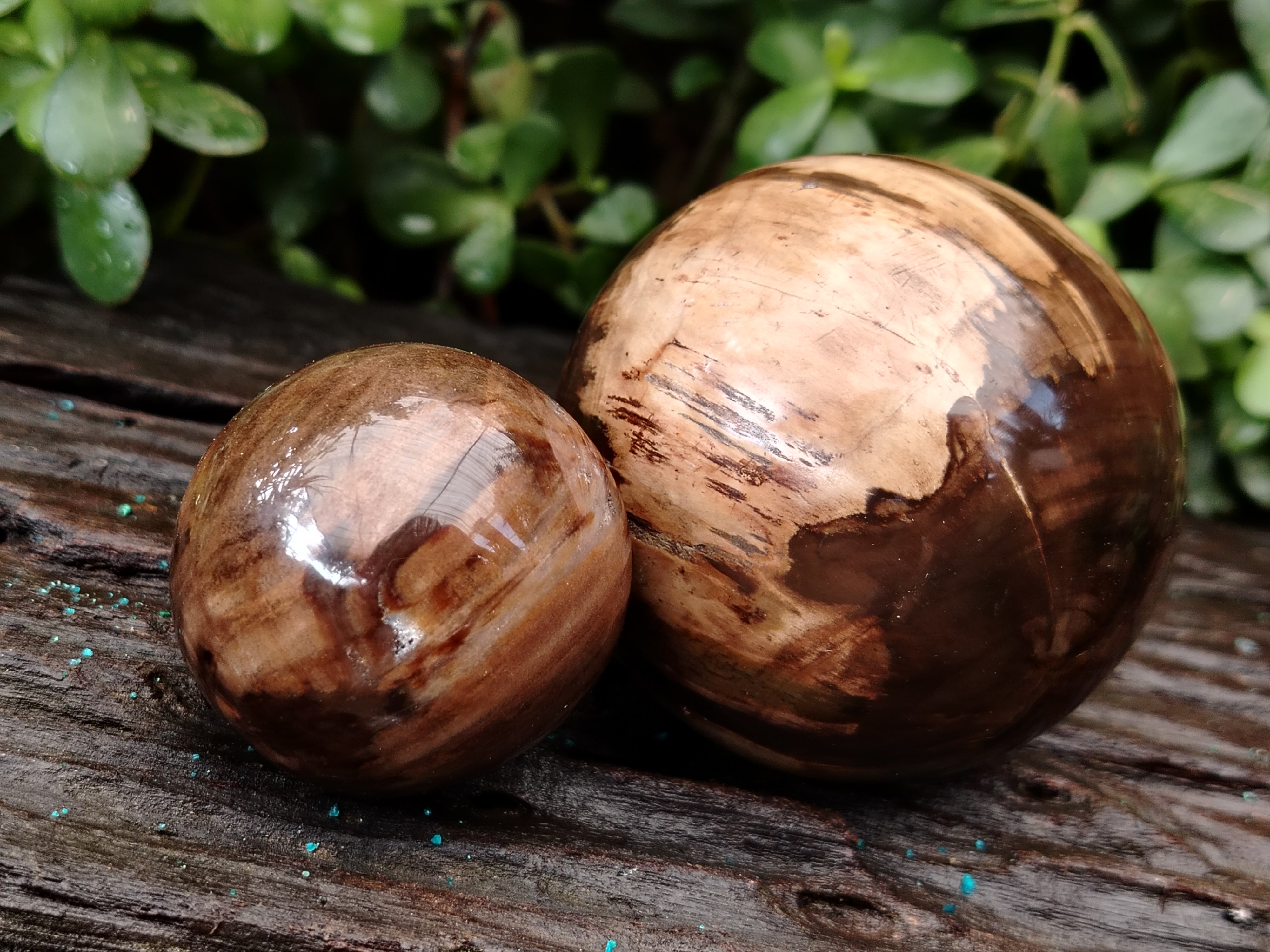 パワーストーン⑤ Polished Petrified Wood Sphere's x 3 From Gokwe, Zimbabwe