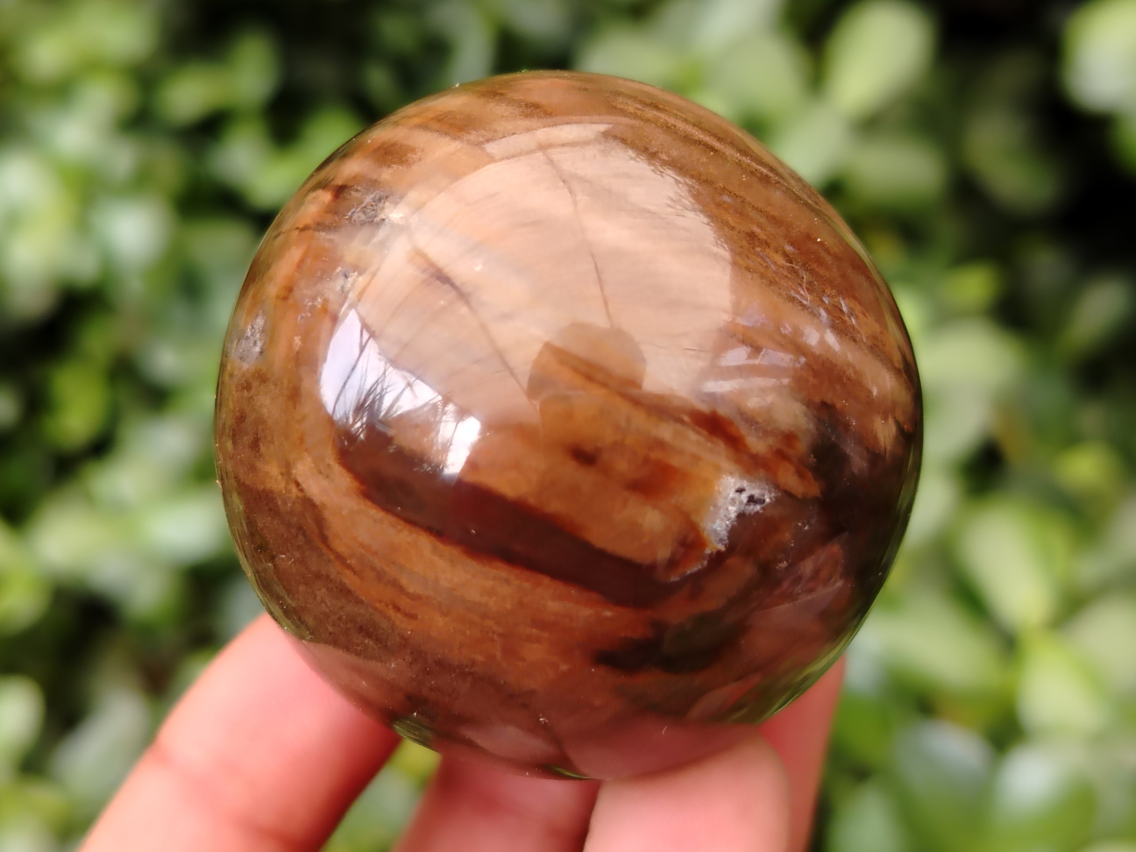 Polished Petrified Wood Sphere's x 3 From Gokwe, Zimbabwe - Toprock Gemstones and Minerals 