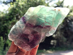 Natural Watermelon Fluorite Cobbed Specimens x 4 From Uis, Namibia - Toprock Gemstones and Minerals 