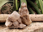 Natural Smokey Phantom Quartz Clusters x 2 From Luena, Congo - Toprock Gemstones and Minerals 