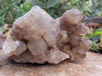 Natural Smokey Phantom Quartz Clusters x 2 From Luena, Congo - Toprock Gemstones and Minerals 