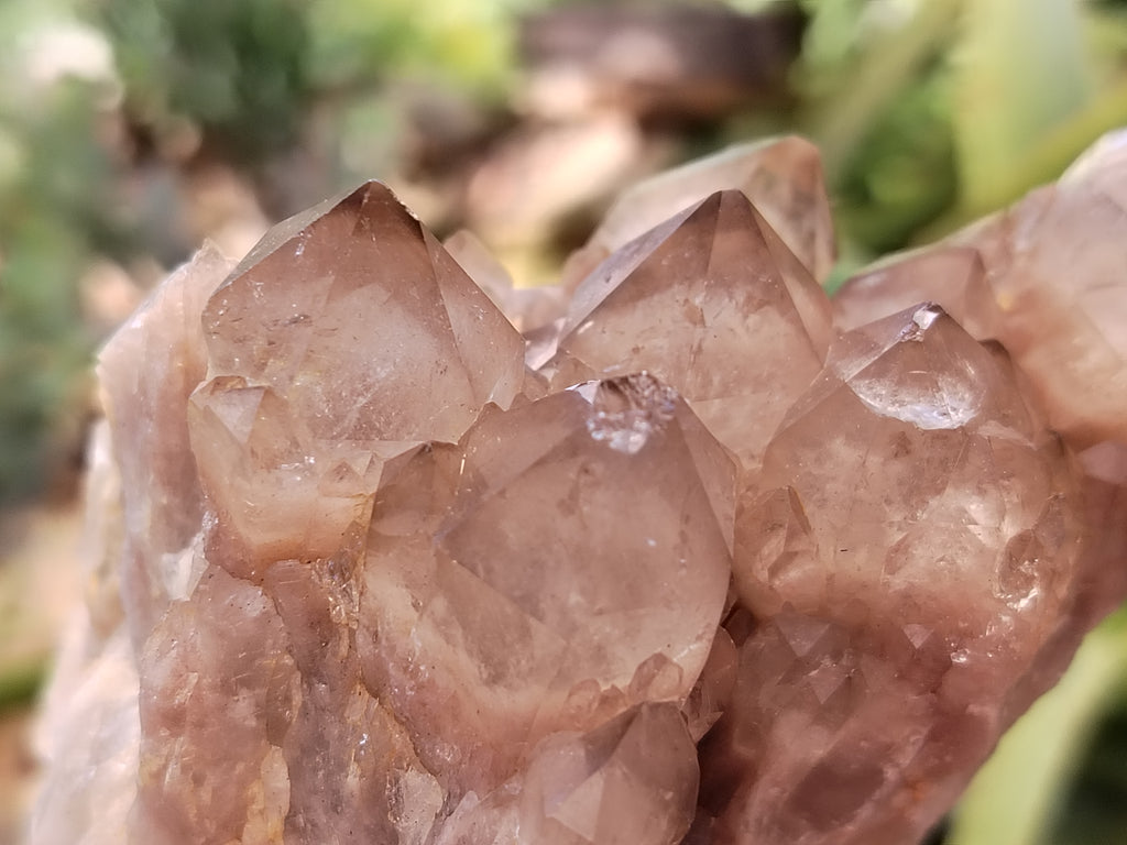 Natural Smokey Phantom Quartz Clusters x 2 From Luena, Congo - Toprock Gemstones and Minerals 