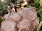 Natural Smokey Phantom Quartz Clusters x 2 From Luena, Congo - Toprock Gemstones and Minerals 