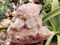 Natural Smokey Phantom Quartz Clusters x 2 From Luena, Congo - Toprock Gemstones and Minerals 