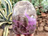 Polished Stichtite Standing Free Forms x 2 From Barberton, South Africa&nbsp; - Toprock Gemstones and Minerals 