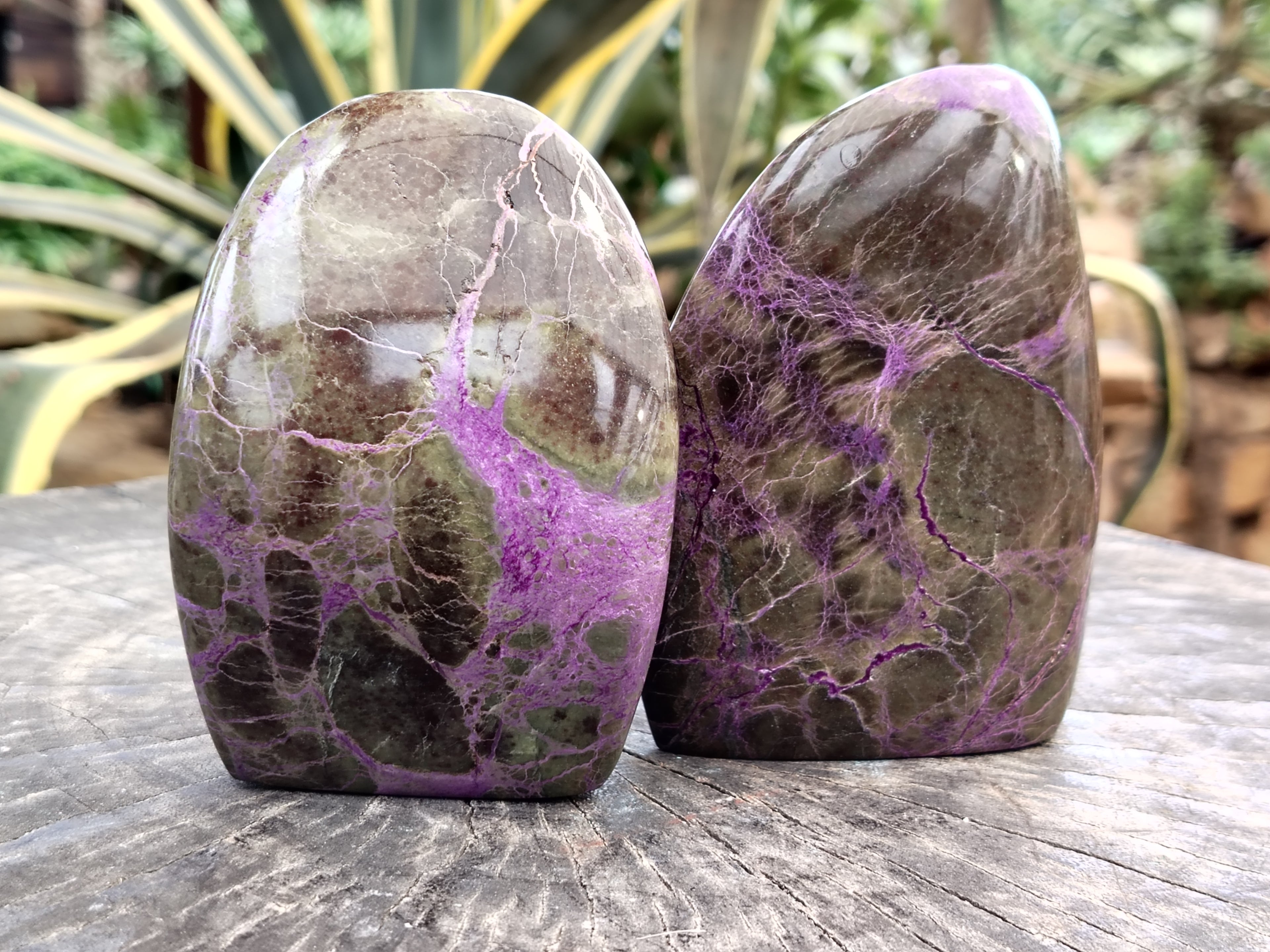 Polished Stichtite Standing Free Forms x 2 From Barberton, South Africa&nbsp; - Toprock Gemstones and Minerals 