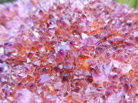 Natural Amethystos Amethyst Plates x 11 From Kwaggafontein, South Africa - Toprock Gemstones and Minerals 