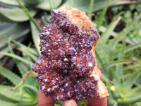 Natural Amethystos Amethyst Plates x 11 From Kwaggafontein, South Africa - Toprock Gemstones and Minerals 