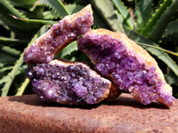 Natural Amethystos Amethyst Plates x 11 From Kwaggafontein, South Africa - Toprock Gemstones and Minerals 