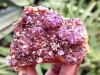 Natural Amethystos Amethyst Plates x 11 From Kwaggafontein, South Africa - Toprock Gemstones and Minerals 