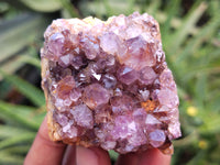 Natural Amethystos Amethyst Plates x 11 From Kwaggafontein, South Africa - Toprock Gemstones and Minerals 