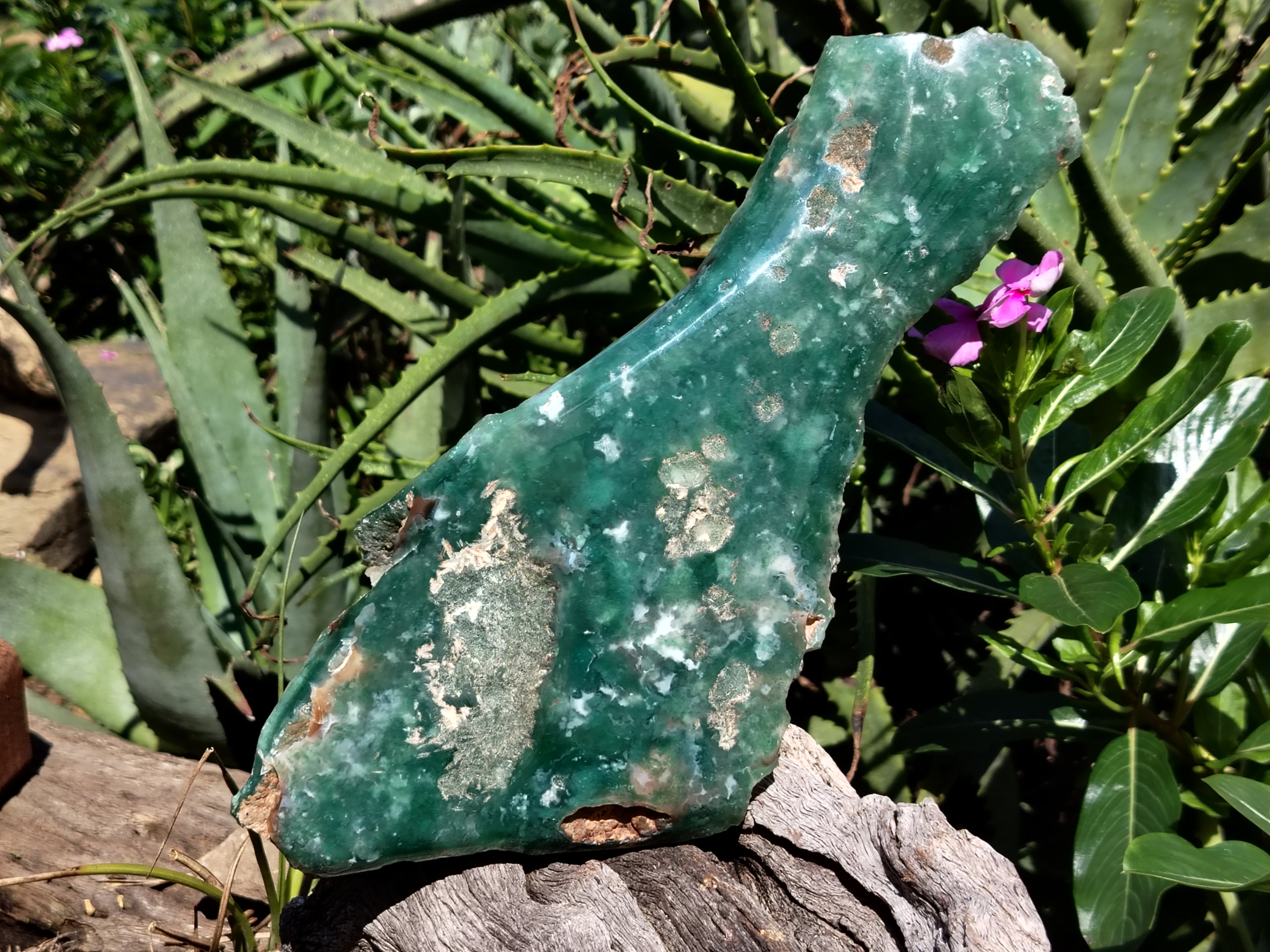Polished On One Side Emerald Mtorolite Plates x 2 From Mutorashanga, Zimbabwe - Toprock Gemstones and Minerals 