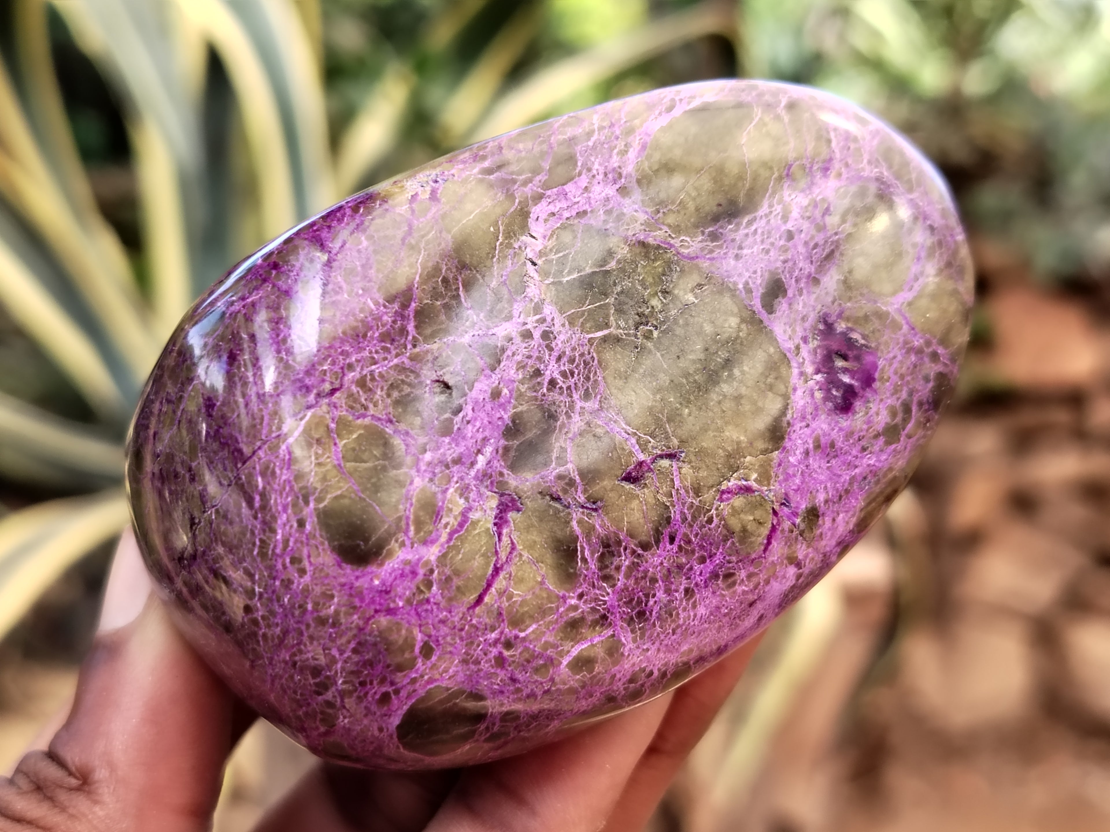 Polished Stichtite Standing Free Forms x 4 From Barberton, South Africa - Toprock Gemstones and Minerals 