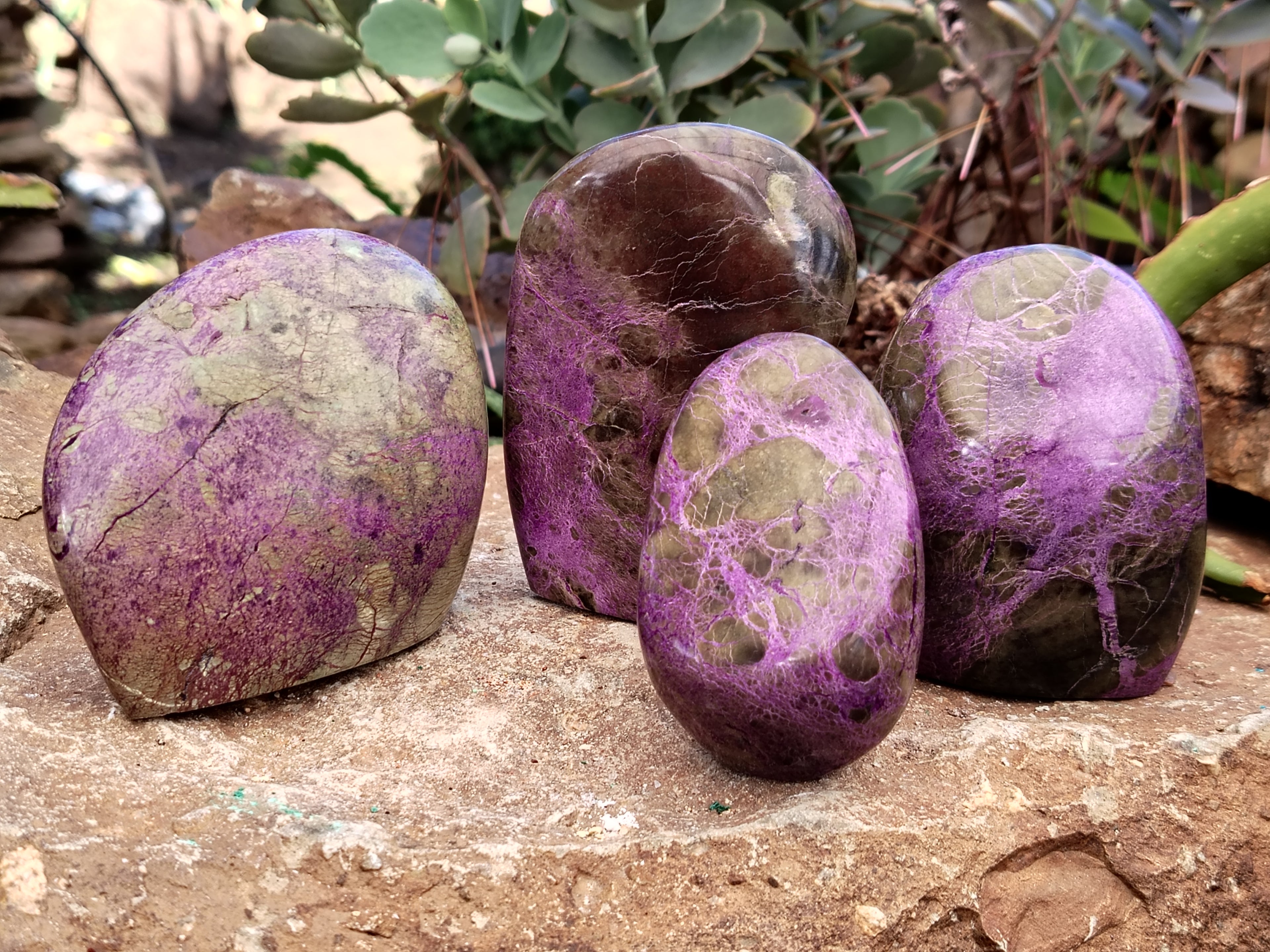 Polished Stichtite Standing Free Forms x 4 From Barberton, South Africa - Toprock Gemstones and Minerals 