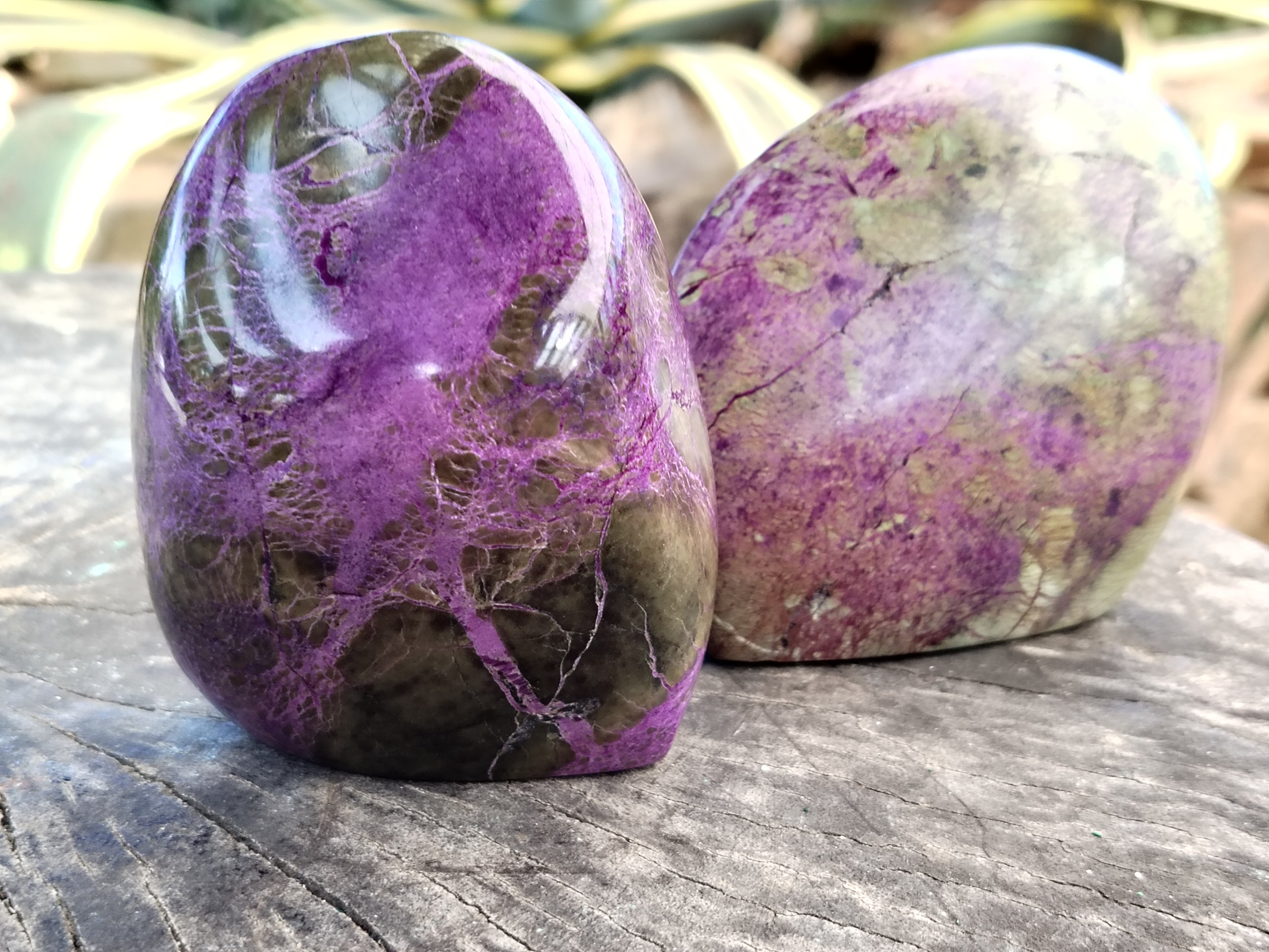 Polished Stichtite Standing Free Forms x 4 From Barberton, South Africa - Toprock Gemstones and Minerals 