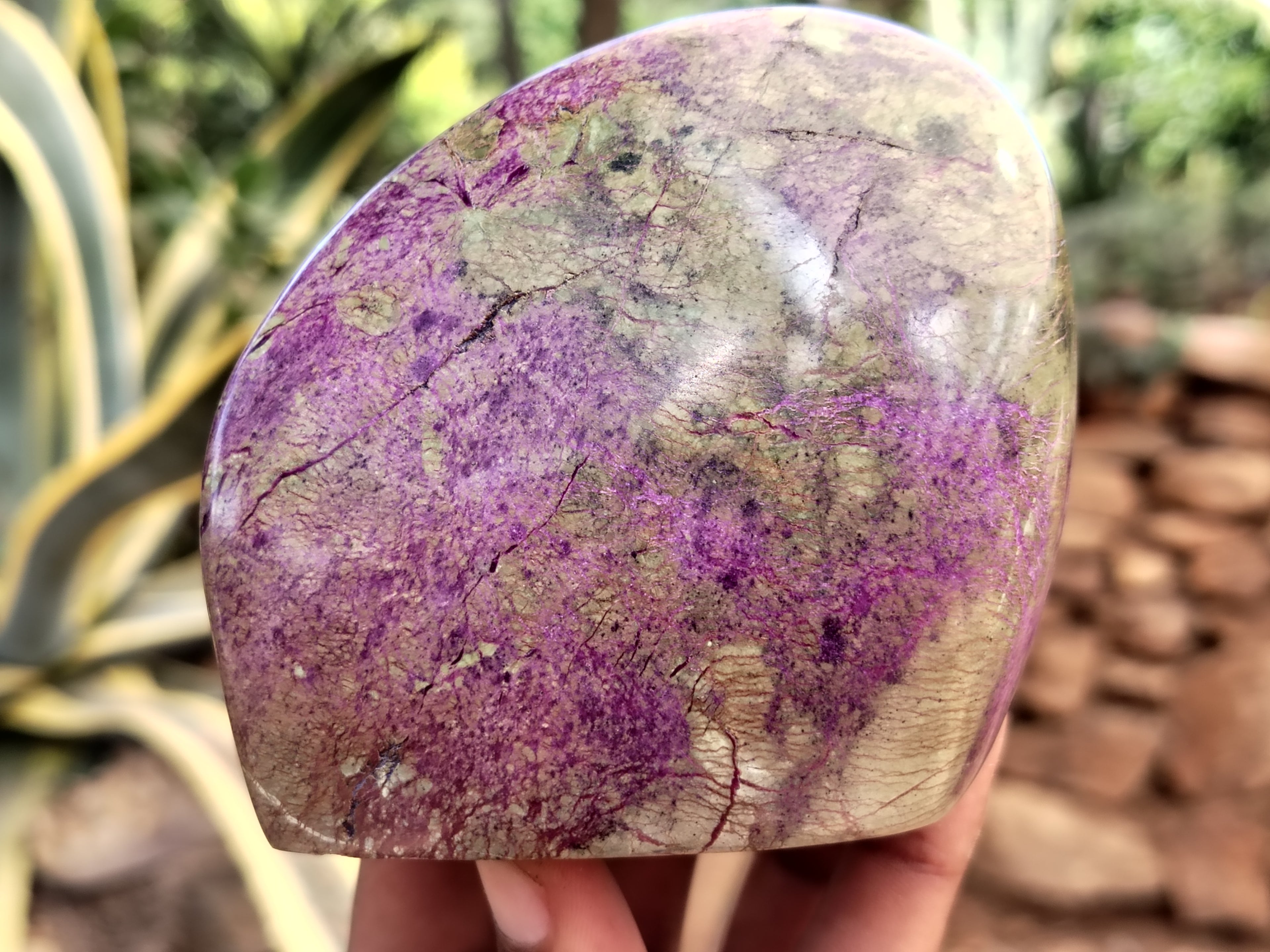 Polished Stichtite Standing Free Forms x 4 From Barberton, South Africa - Toprock Gemstones and Minerals 