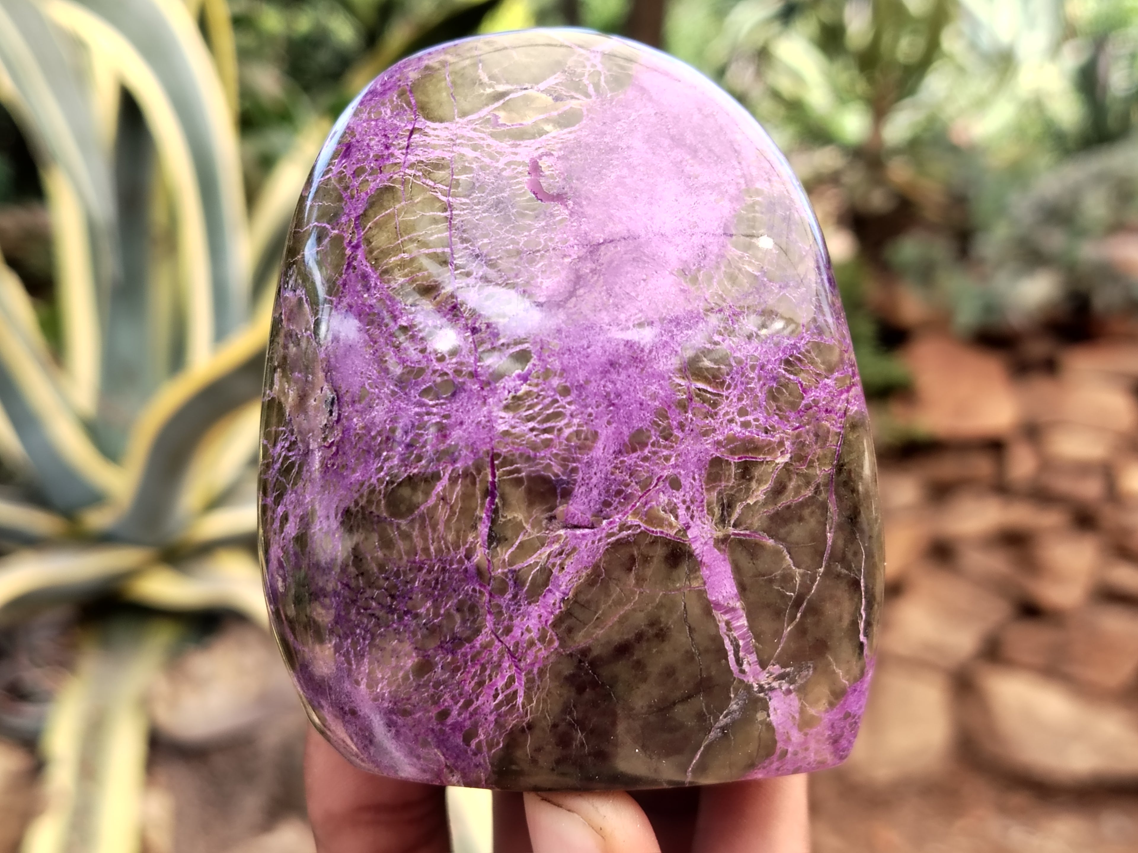 Polished Stichtite Standing Free Forms x 4 From Barberton, South Africa - Toprock Gemstones and Minerals 