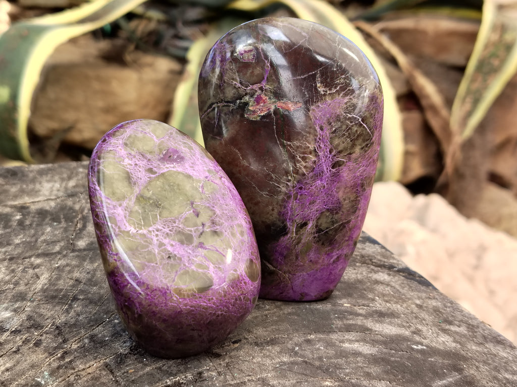 Polished Stichtite Standing Free Forms x 4 From Barberton, South Africa - Toprock Gemstones and Minerals 