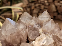 Natural Smokey Phantom Quartz Clusters x 2 From Luena, Congo