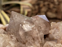 Natural Smokey Phantom Quartz Clusters x 2 From Luena, Congo