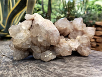 Natural Smokey Phantom Quartz Clusters x 2 From Luena, Congo